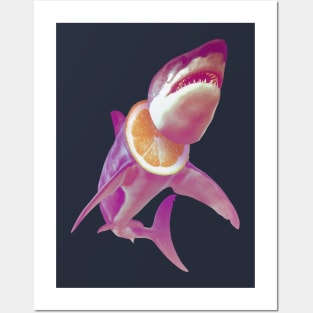 Lemon Shark Posters and Art